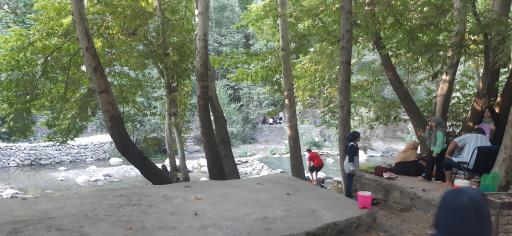 عکس سیفیش
