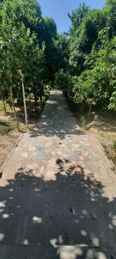 عکس پارک خوراسگان