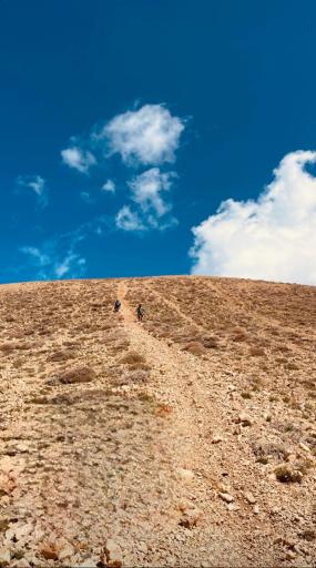 عکس لپاسر