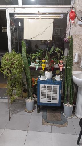 عکس آرایشگاه حمید