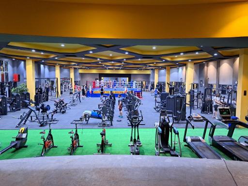 عکس باشگاه بدنسازی و بوکس پژوهش