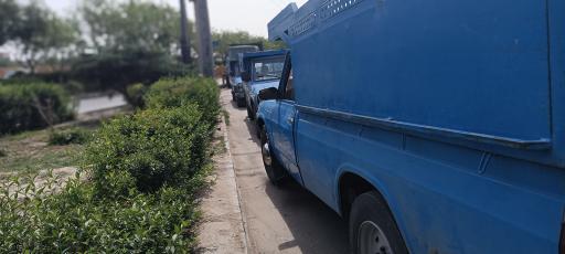 عکس صارم بار