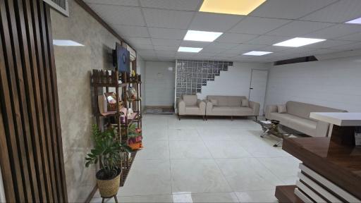 عکس دکتر سارا صندوق‌ داران دکترای حرفه ای دندانپزشکی