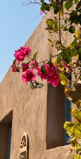 عکس اقامتگاه بومگردی پری دخت 