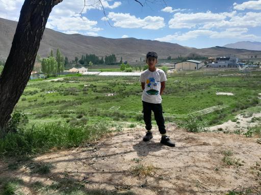 عکس انبارالوم