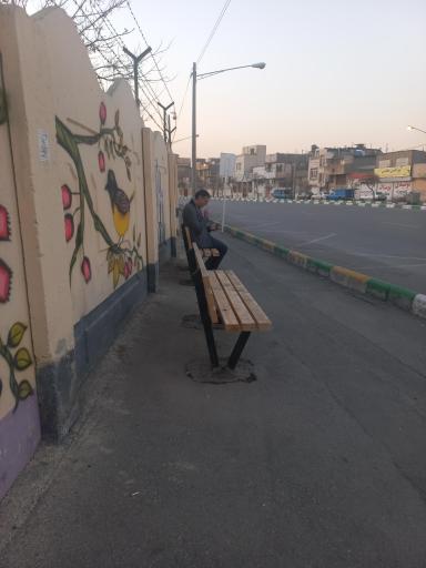 عکس  مجلسی غربی 29