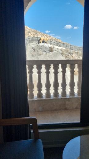 عکس هتل امیرخانلو