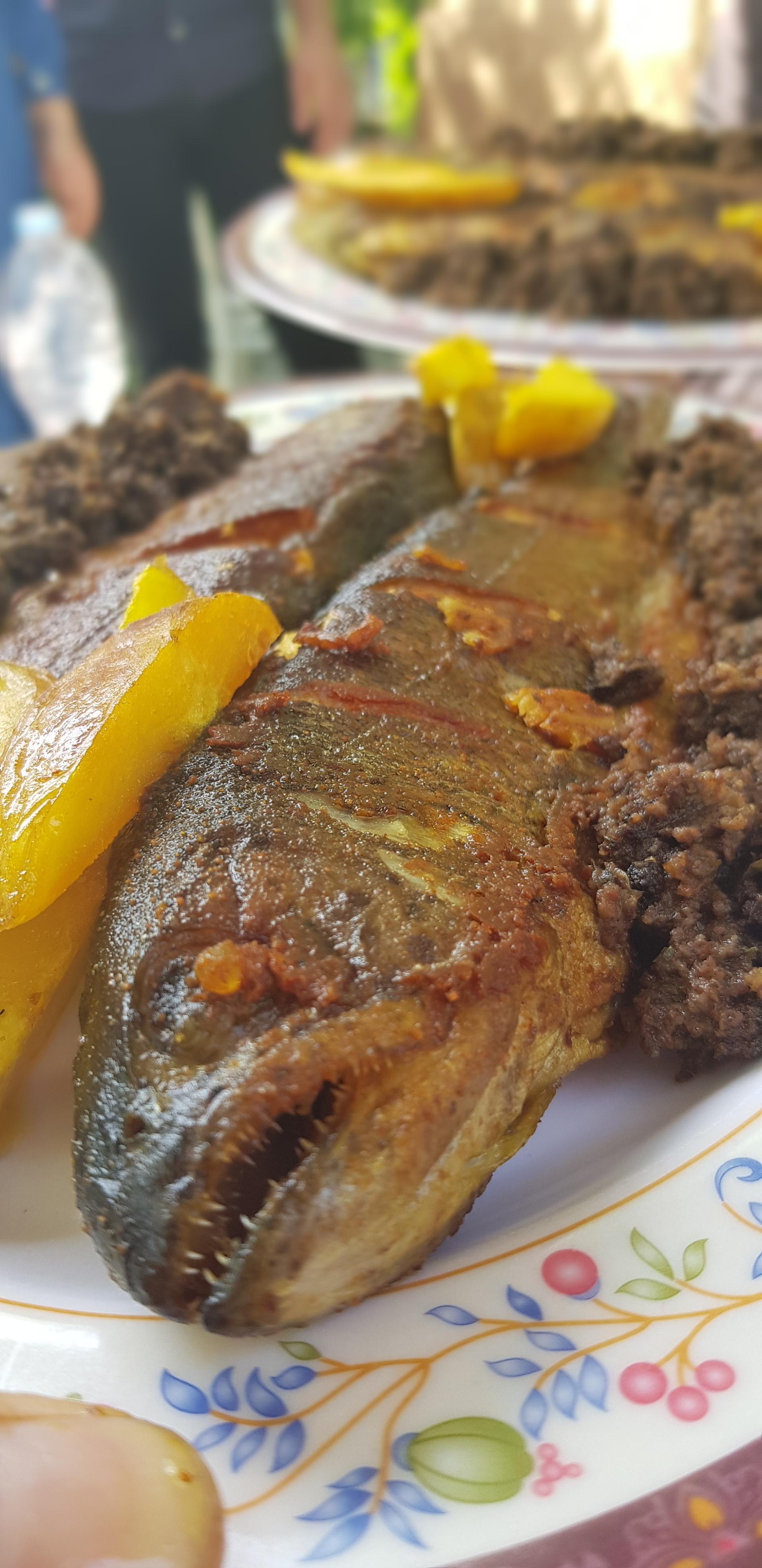 عکس باغ رستوران ارغوان