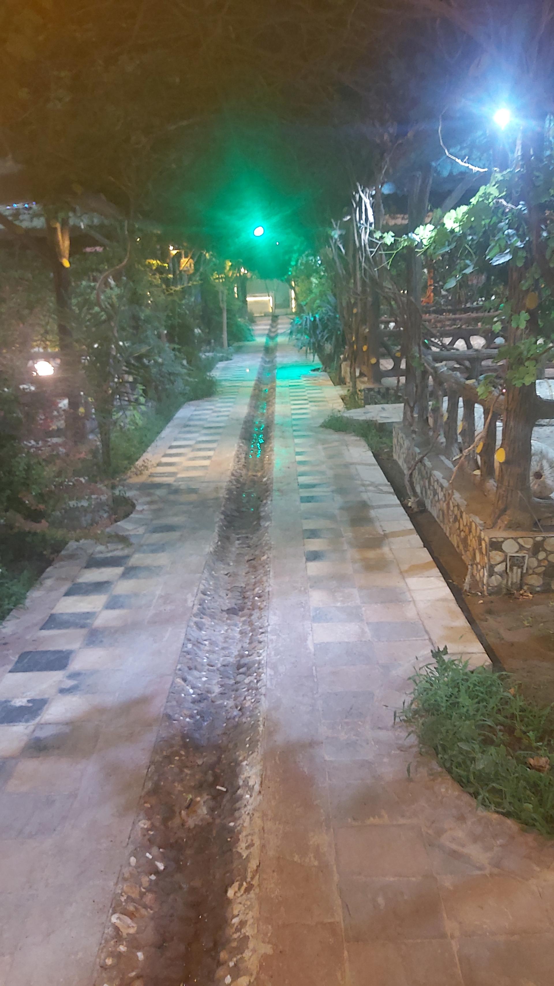 عکس ائل گولی