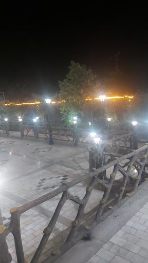 عکس ائل گولی