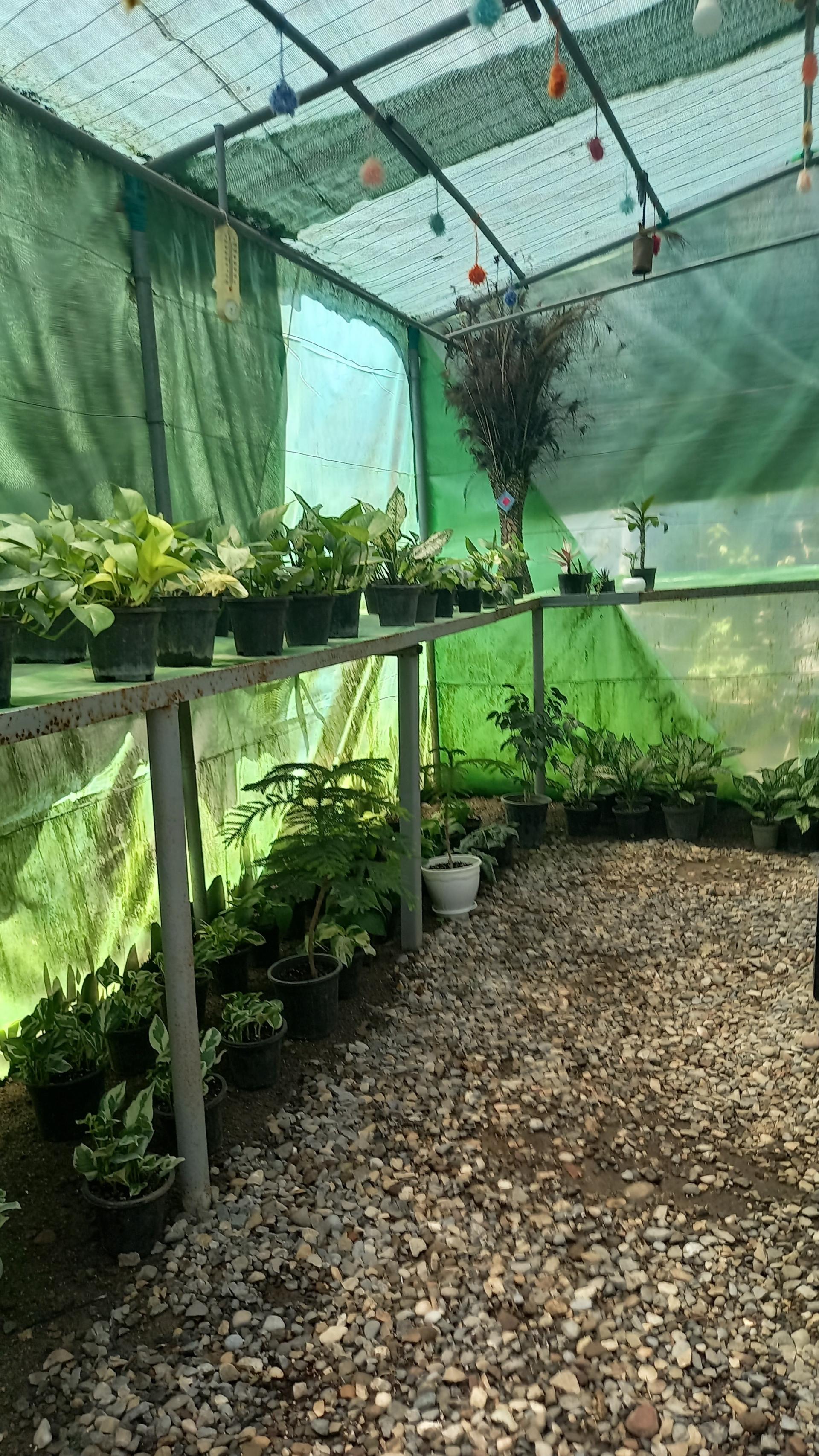 عکس گلخانه ماه عسل