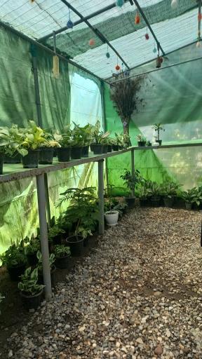 گلخانه ماه عسل