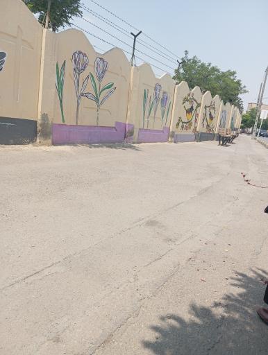 عکس  مجلسی غربی 29