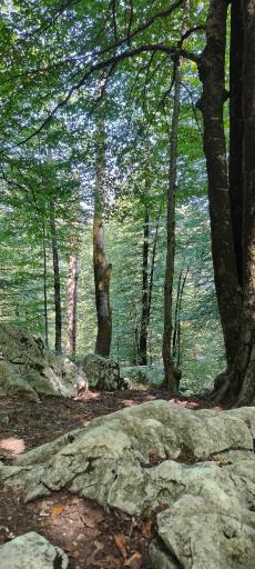 عکس خط دو تله کابین نمک آبرود