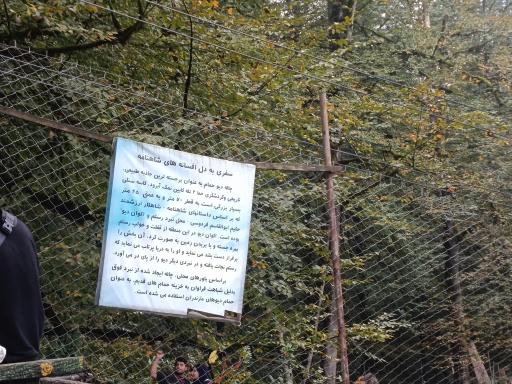 عکس خط دو تله کابین نمک آبرود