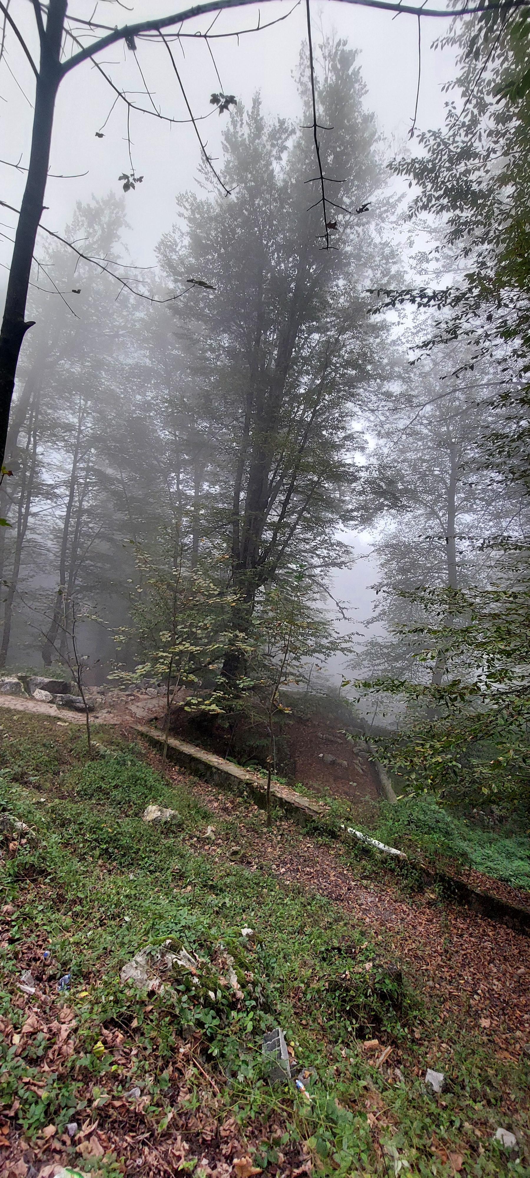 عکس خط دو تله کابین نمک آبرود