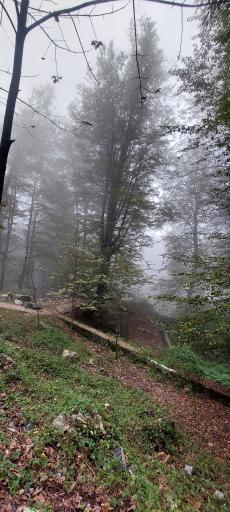 عکس خط دو تله کابین نمک آبرود