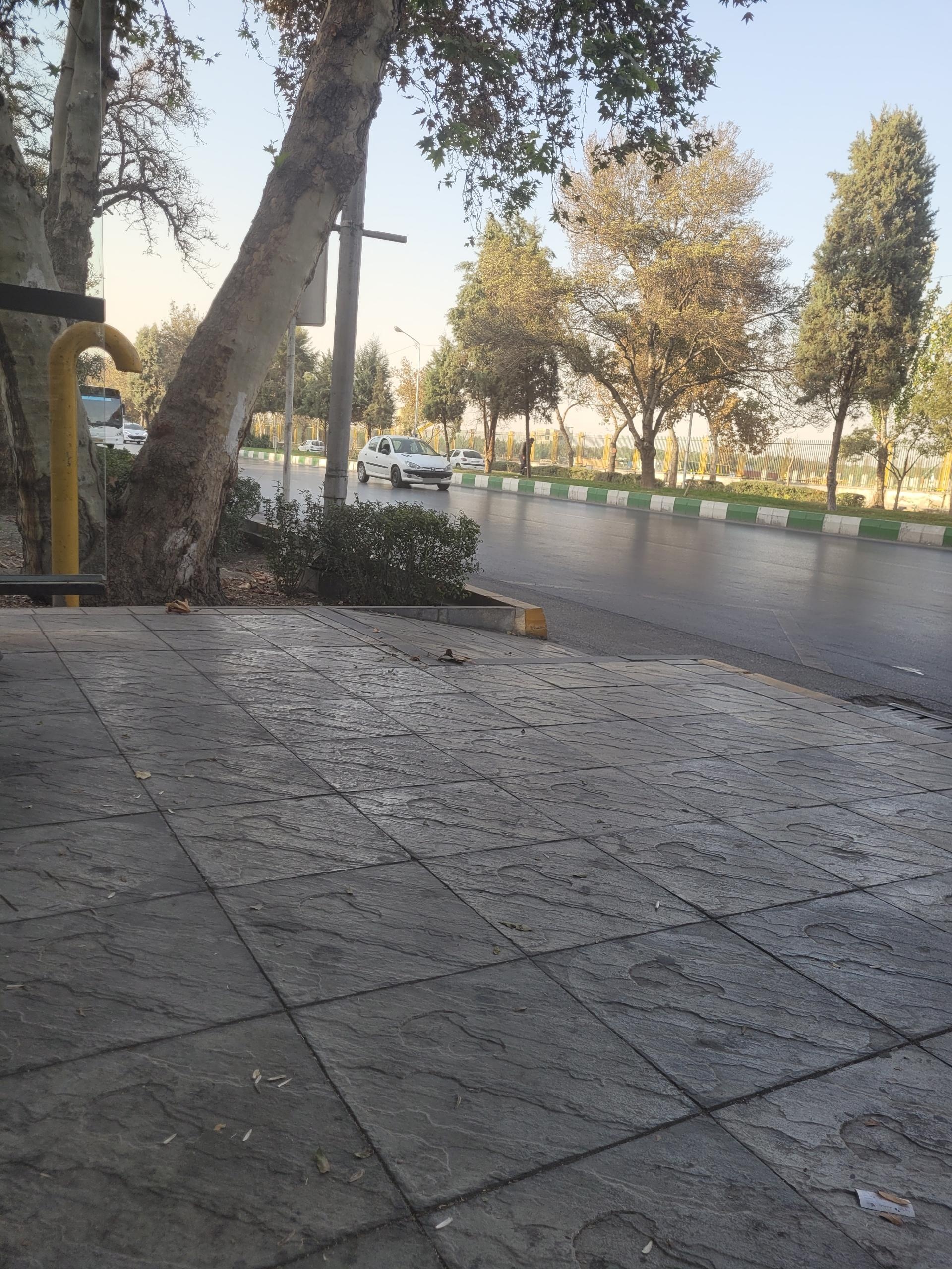 عکس  شهید قرنی 34