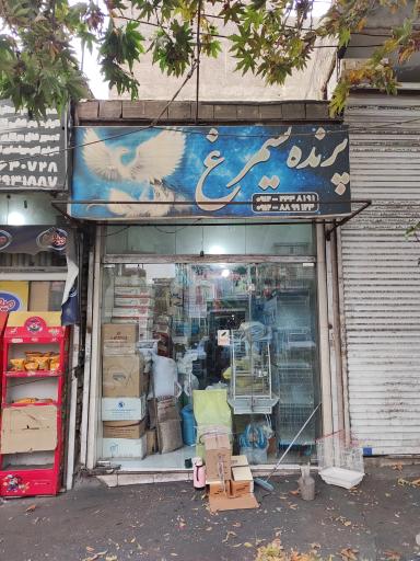 عکس فروشگاه پرنده سیمرغ بهرام