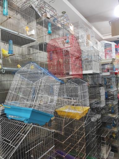 عکس فروشگاه پرنده سیمرغ بهرام