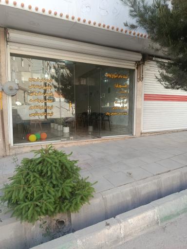 عکس کافی نت کوهسار