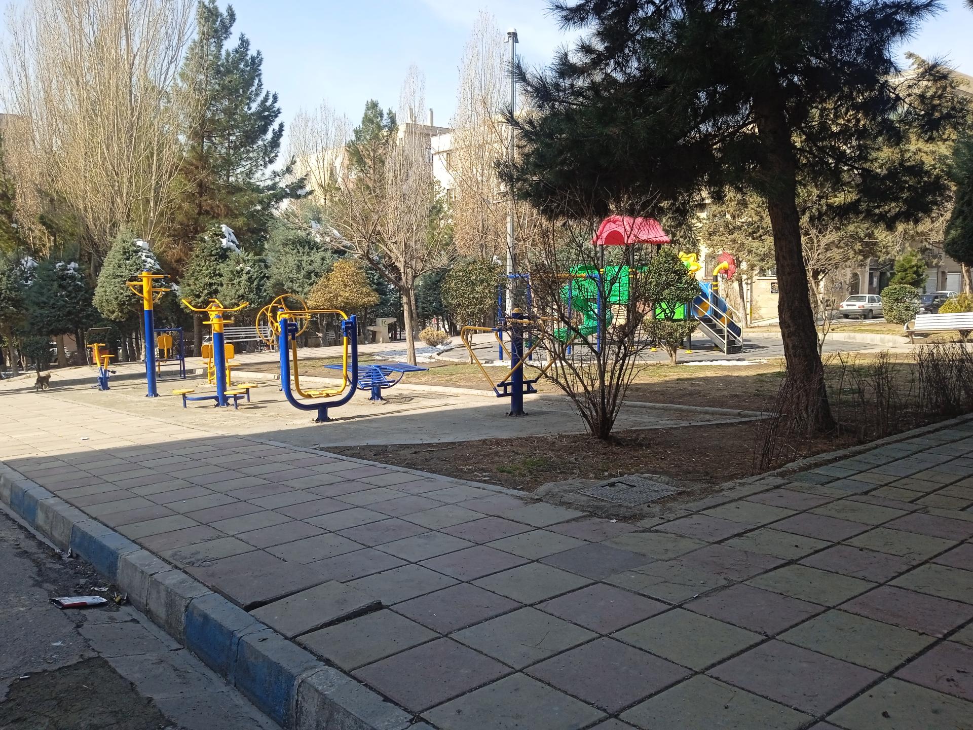 عکس پارک زیتون