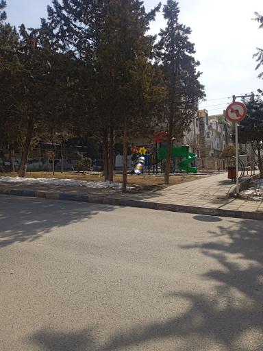 عکس پارک زیتون