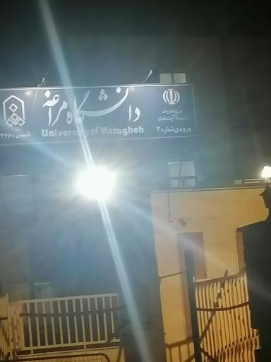 عکس دانشگاه مراغه