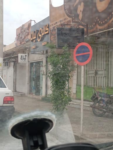 عکس گالری لیام