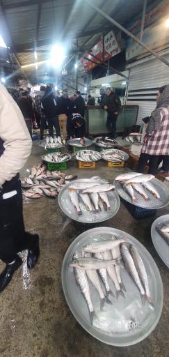 عکس بازار میوه و ماهی چالوس