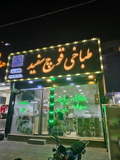 عکس طباخی قوچ سفید