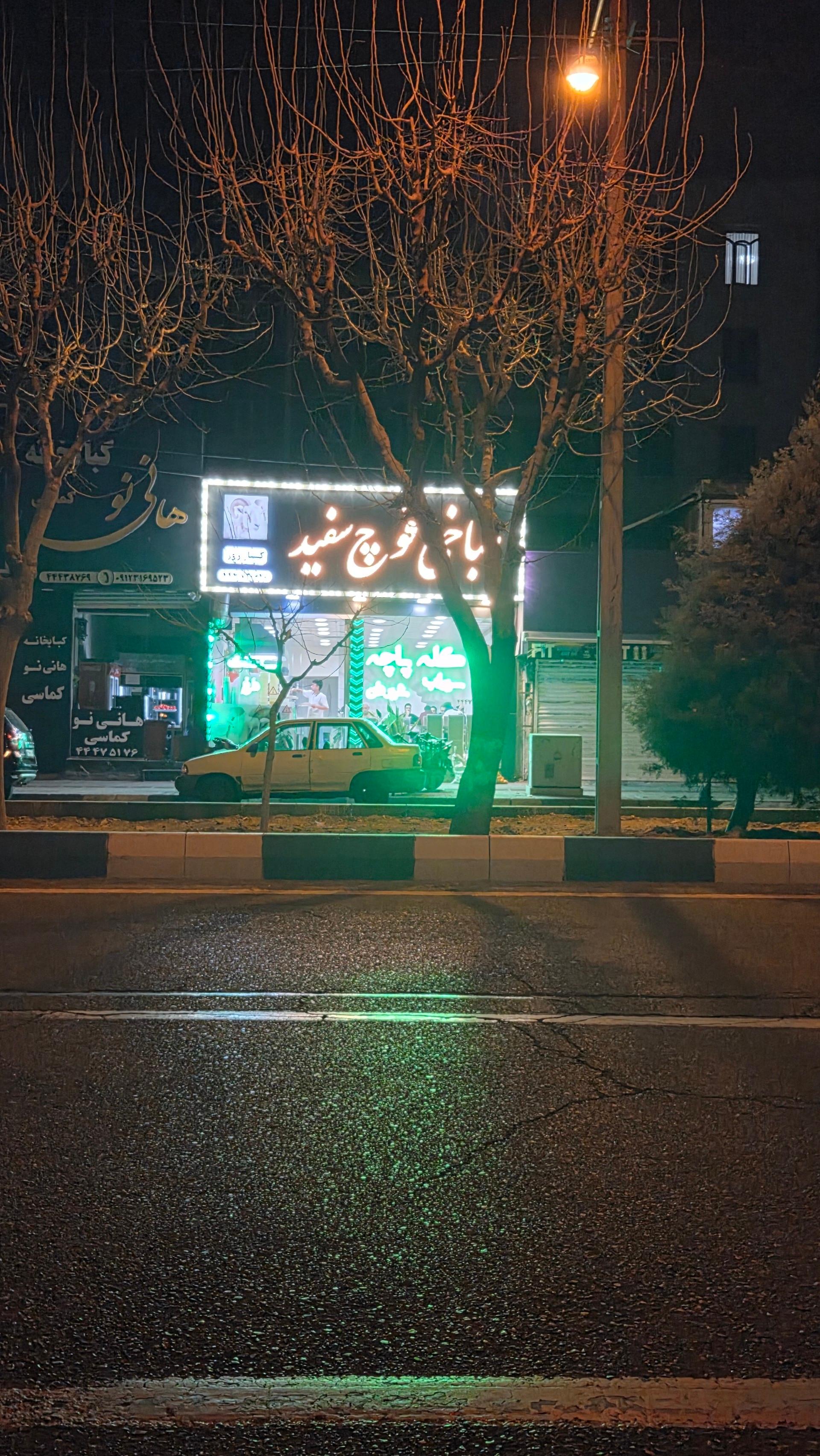عکس طباخی قوچ سفید