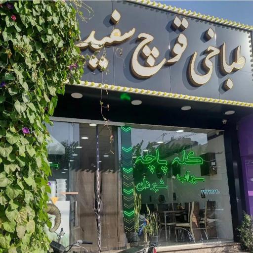 عکس طباخی قوچ سفید