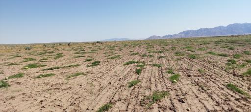 عکس حاجی آباد