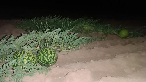 عکس حاجی آباد