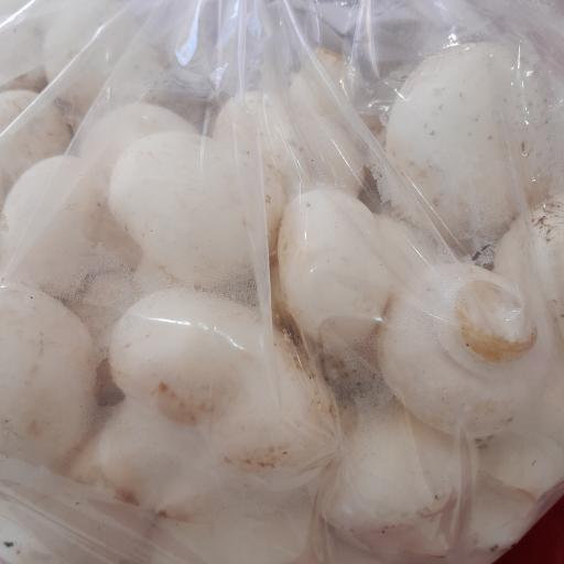 عکس مرغ و گوشت صدیقی