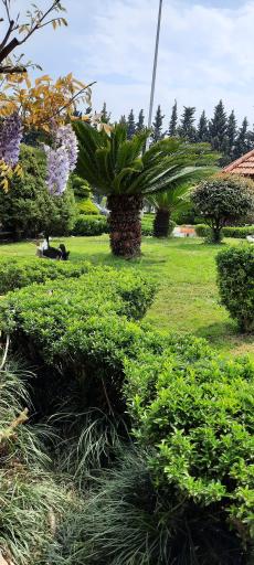 عکس مجتمع اقامتی تفریحی نارنج متین