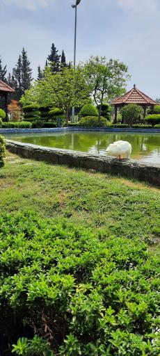 عکس مجتمع اقامتی تفریحی نارنج متین