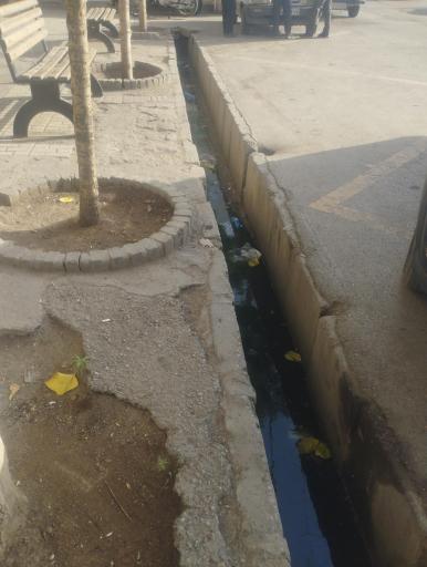 عکس آیت الله عبادی 95