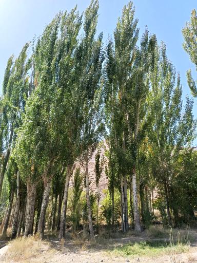 عکس حاجی آباد