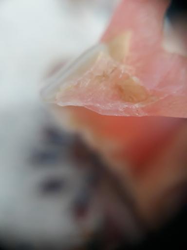 عکس لابراتوار دندانسازی بزرگی