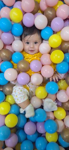 عکس خانه بازی ناردونه