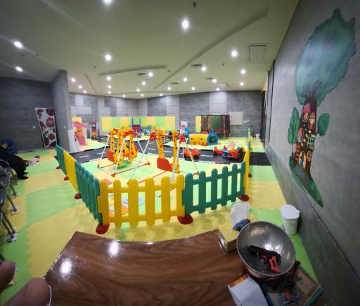 عکس خانه بازی ناردونه