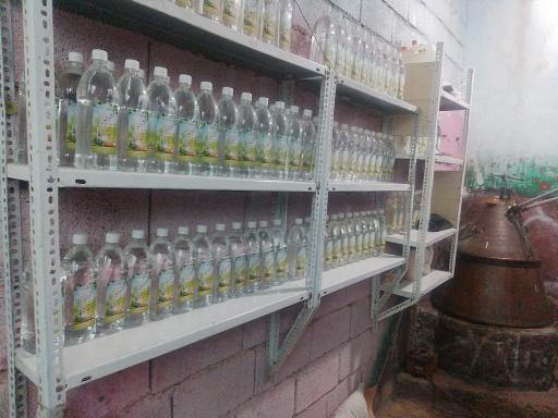 عکس گلاب سنتی معطر شمشیری 