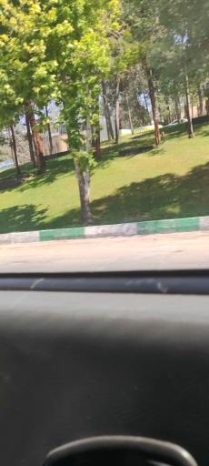 عکس فضای سبز