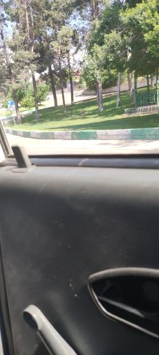 عکس فضای سبز