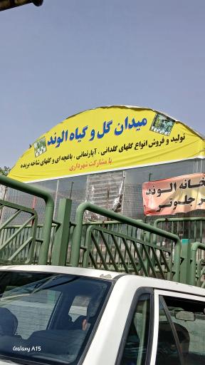 عکس  میدان گل و گیاه الوند