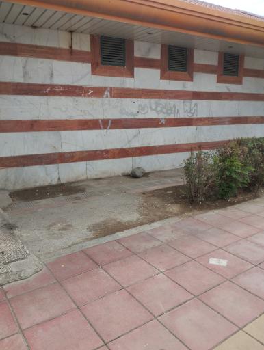 سرویس بهداشتی بوستان وحدت