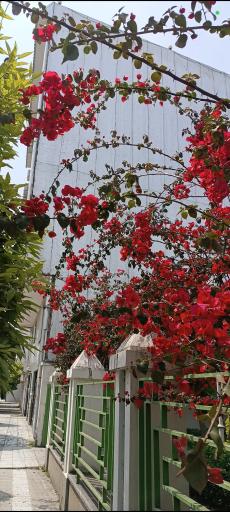 عکس بنیاد علمی محمد رضا حریری