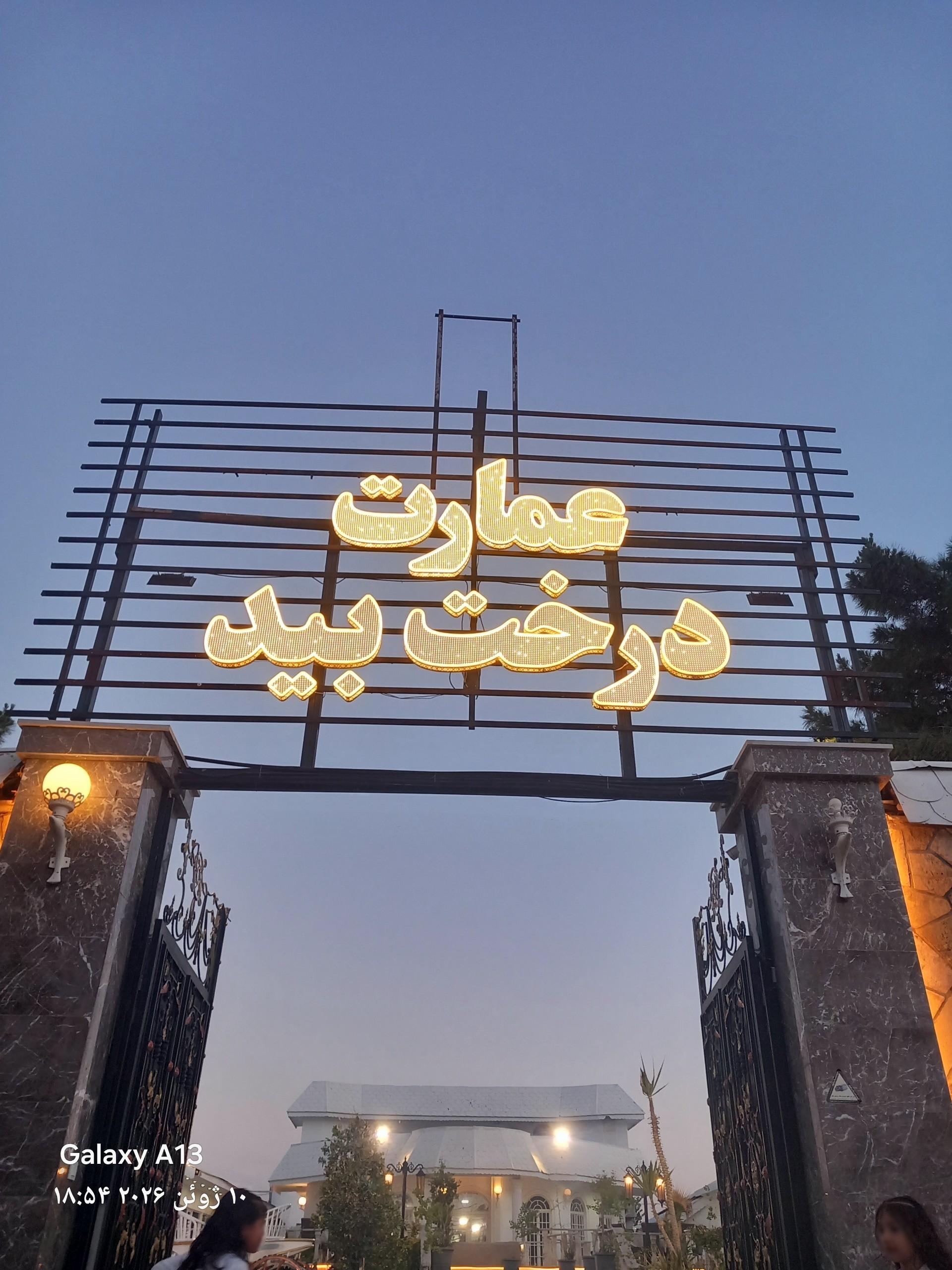 عکس کافه رستوران درخت بید